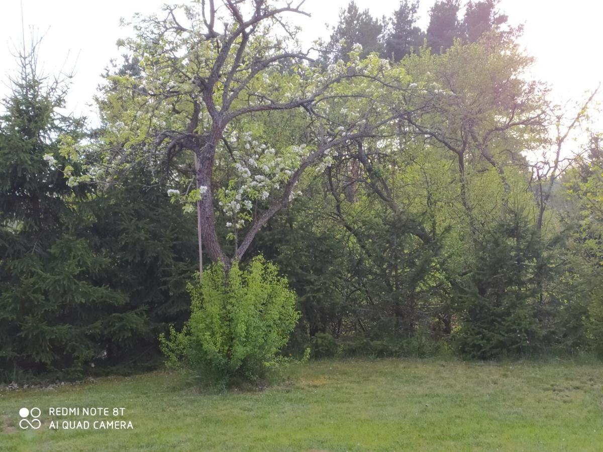 Dolistowka Apartamenty, Pole Namiotowe, Balia Z Jacuzzi, Ogrod Warzywny Dla Gosci, Plac Zabaw Dla Dzieci Goniądz Extérieur photo