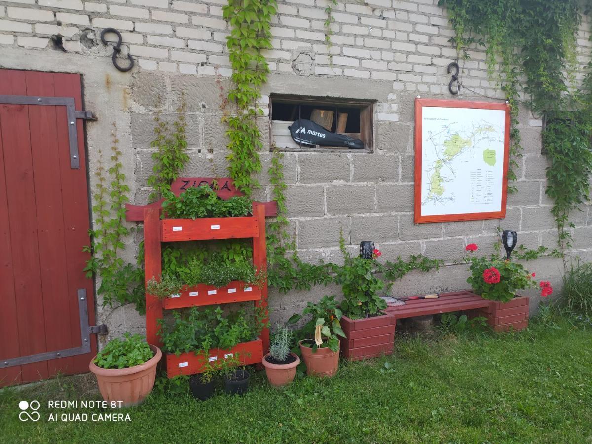 Dolistowka Apartamenty, Pole Namiotowe, Balia Z Jacuzzi, Ogrod Warzywny Dla Gosci, Plac Zabaw Dla Dzieci Goniądz Extérieur photo