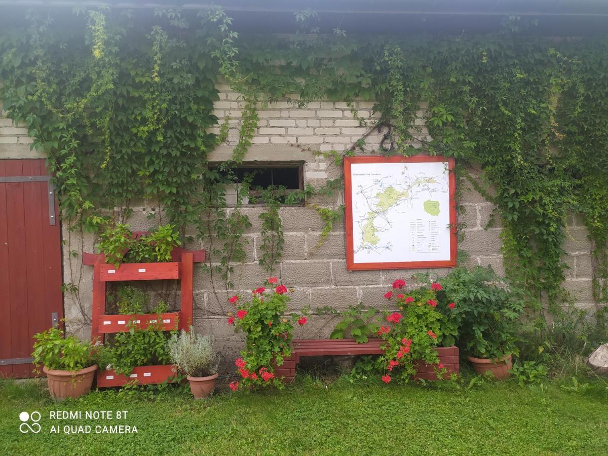 Dolistowka Apartamenty, Pole Namiotowe, Balia Z Jacuzzi, Ogrod Warzywny Dla Gosci, Plac Zabaw Dla Dzieci Goniądz Extérieur photo