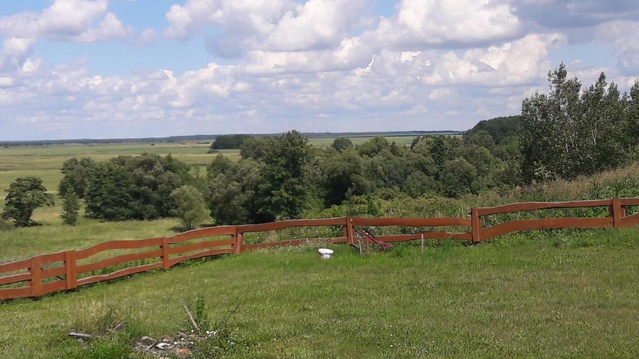 Dolistowka Apartamenty, Pole Namiotowe, Balia Z Jacuzzi, Ogrod Warzywny Dla Gosci, Plac Zabaw Dla Dzieci Goniądz Extérieur photo