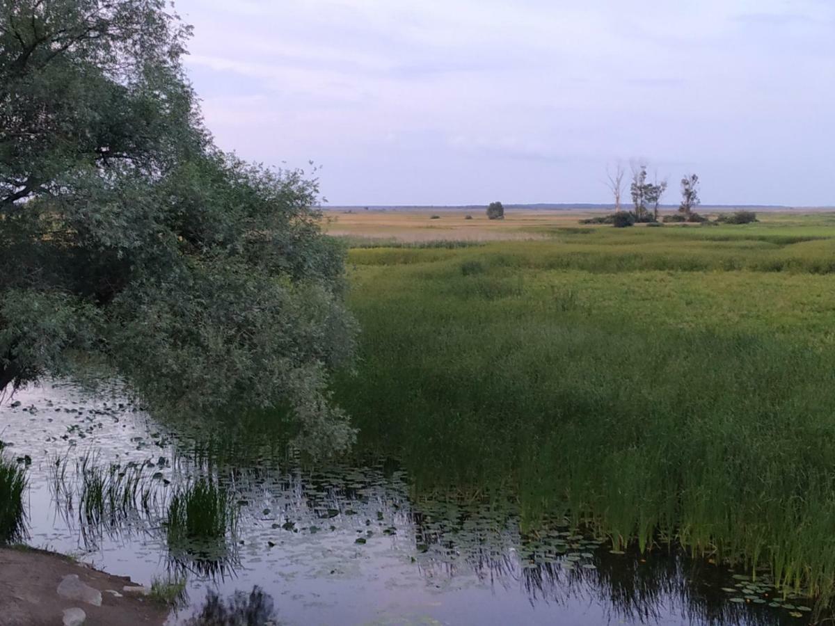 Dolistowka Apartamenty, Pole Namiotowe, Balia Z Jacuzzi, Ogrod Warzywny Dla Gosci, Plac Zabaw Dla Dzieci Goniądz Extérieur photo